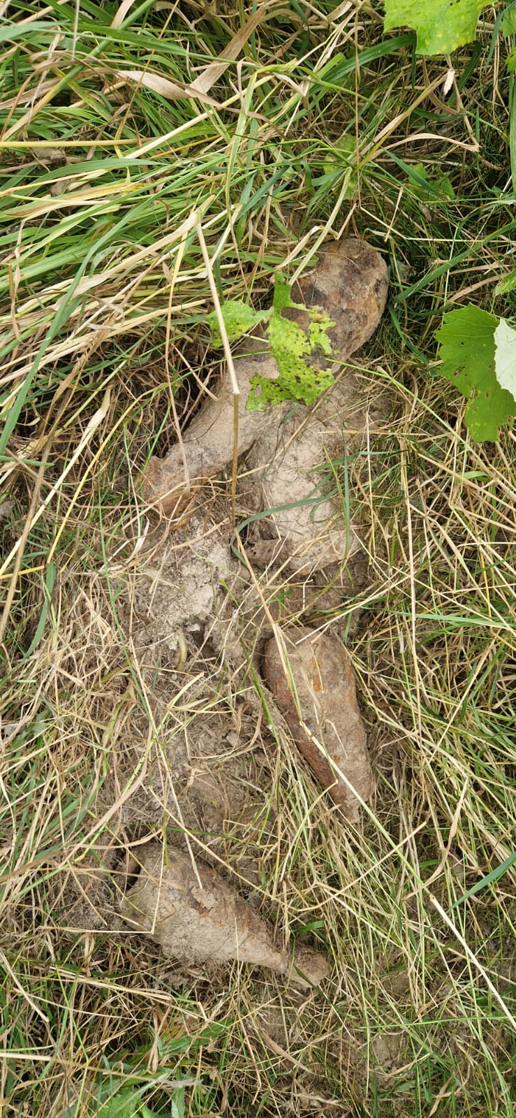 82 aknavető gránátot találtak Újtusnád határában